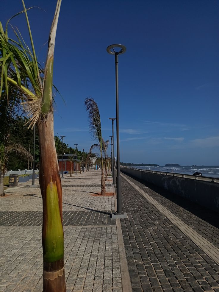 digital marketing expert in kannur